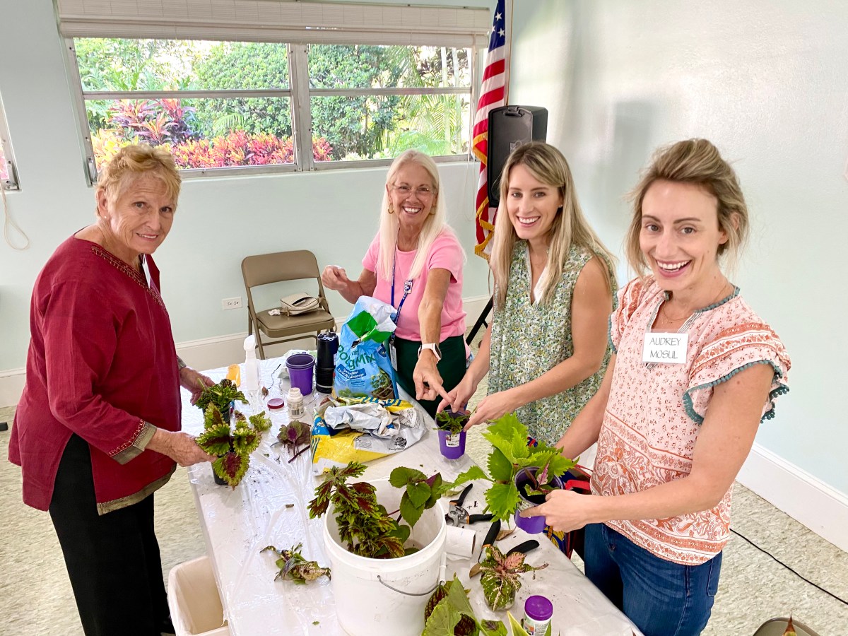 10 Tips for Successful&nbsp;Propagation